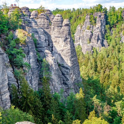 Grünpflege in Sachsen-Anhalt